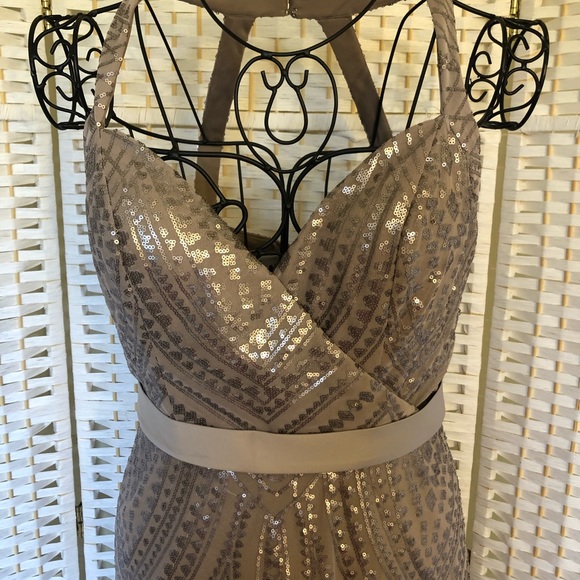 ✅ Angelina Faccenda taupe sequined formal maxi dress - Picture 9 of 16